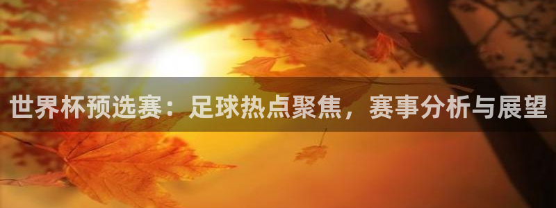 世界杯预选赛：足球热点聚焦，赛事分析与展望