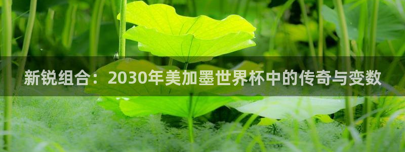 新锐组合：2030年美加墨世界杯中的传奇与变数