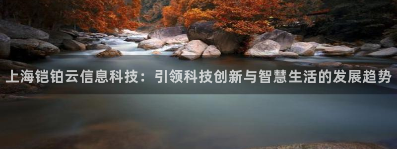 上海铠铂云信息科技：引领科技创新与智慧生活的发展趋势