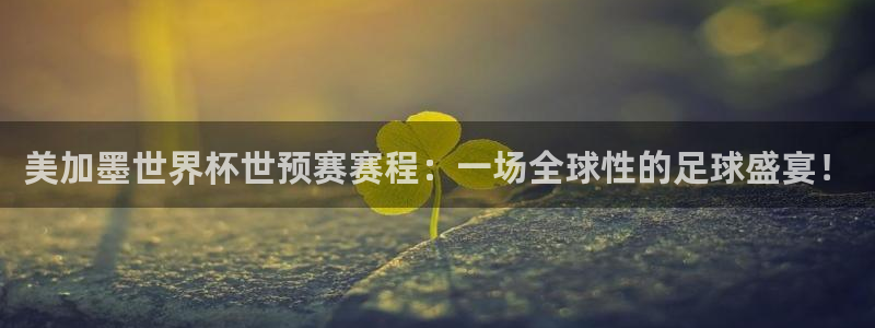 美加墨世界杯世预赛赛程：一场全球性的足球盛宴！