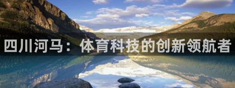 四川河马：体育科技的创新领航者