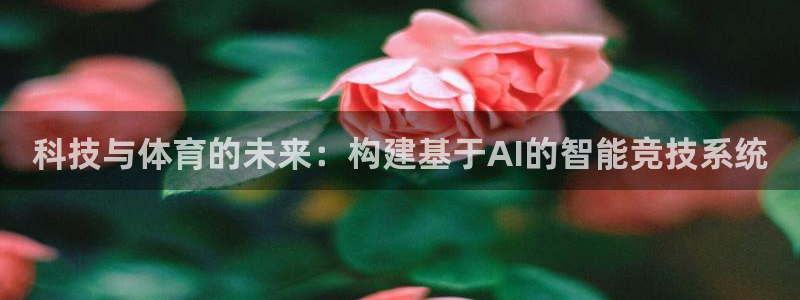 科技与体育的未来：构建基于AI的智能竞技系统