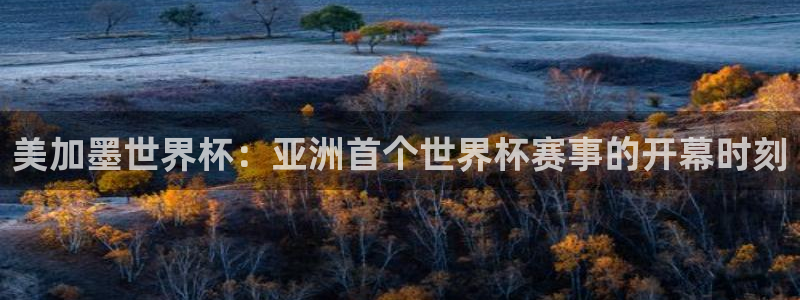 美加墨世界杯：亚洲首个世界杯赛事的开幕时刻