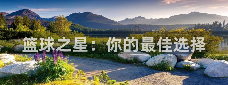 篮球之星：你的最佳选择