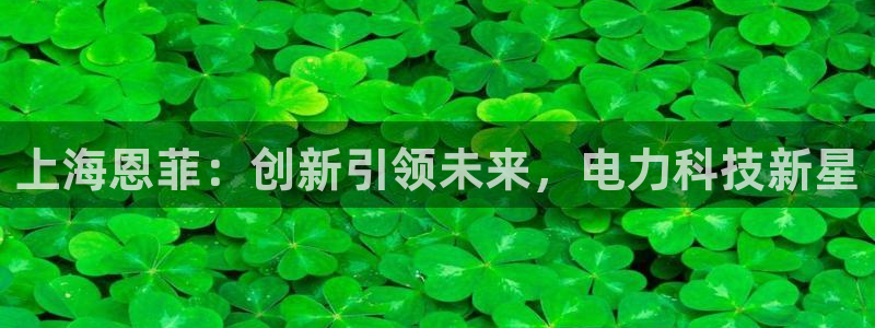 上海恩菲：创新引领未来，电力科技新星