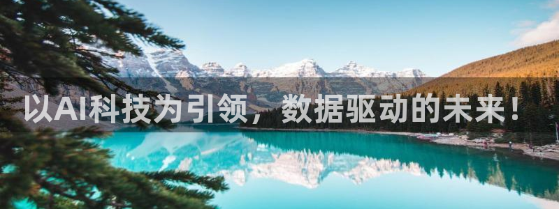 以AI科技为引领，数据驱动的未来！
