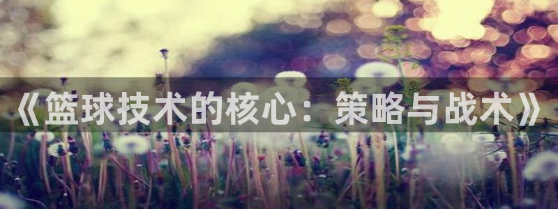 《篮球技术的核心：策略与战术》