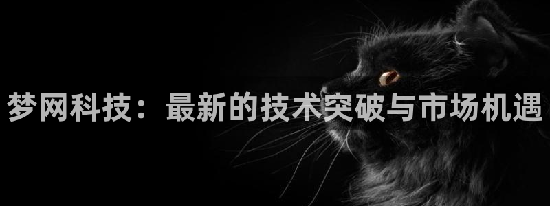 梦网科技：最新的技术突破与市场机遇