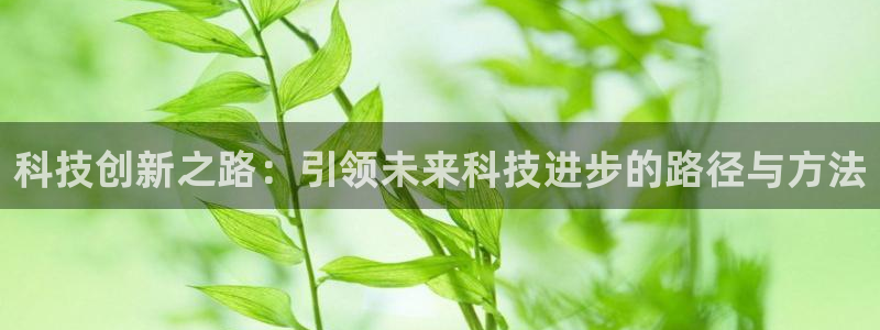 科技创新之路：引领未来科技进步的路径与方法