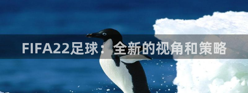 FIFA22足球：全新的视角和策略