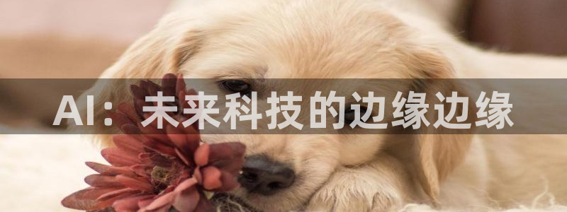 AI：未来科技的边缘边缘