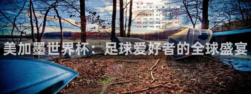 美加墨世界杯：足球爱好者的全球盛宴
