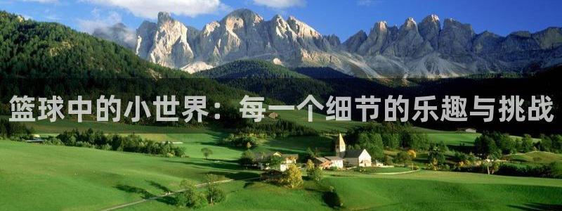 篮球中的小世界：每一个细节的乐趣与挑战
